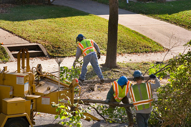  , OR Tree Services Pros